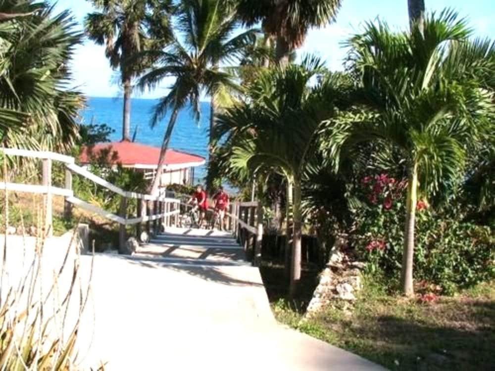 Treasure Beach Hotel Natur billede